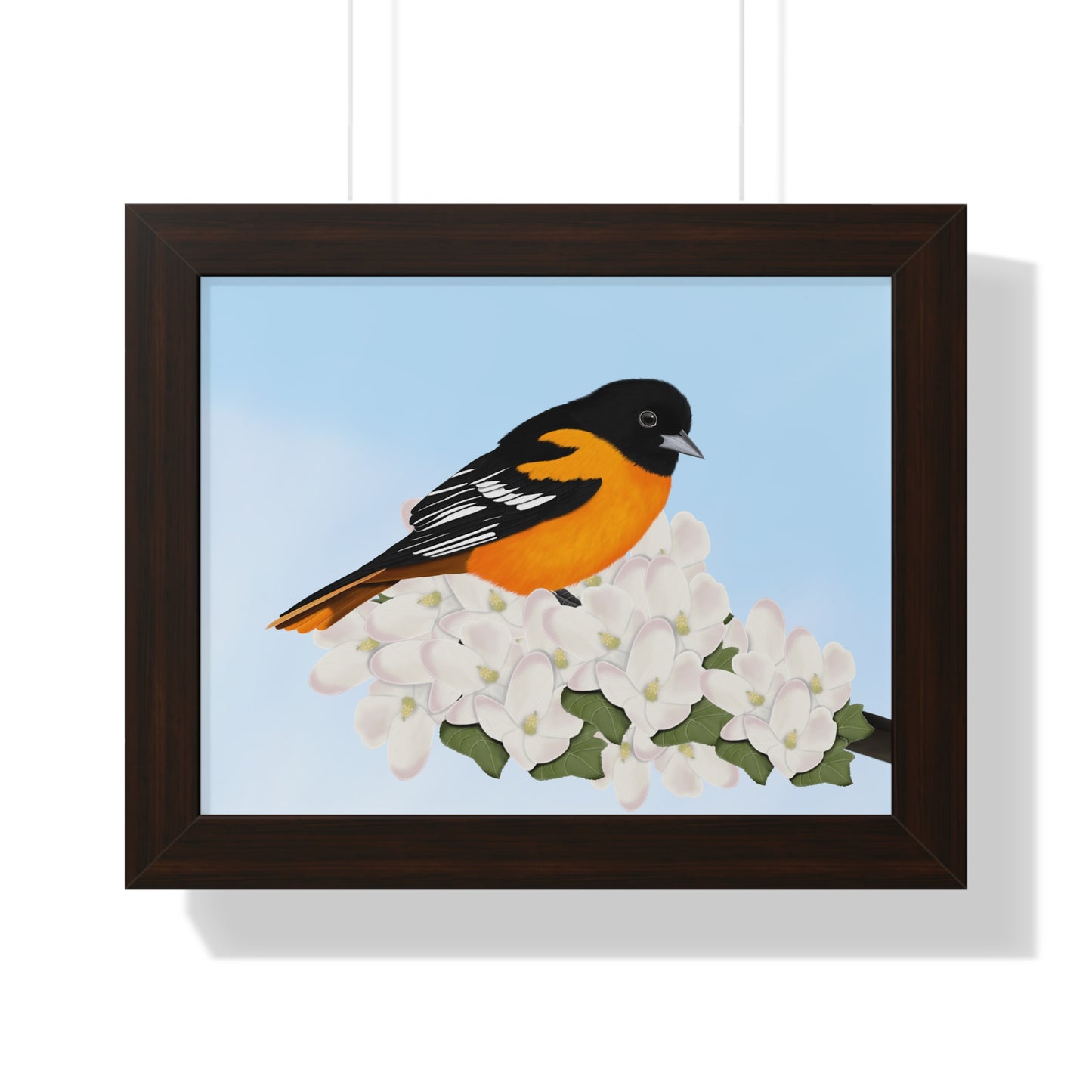 Baltimore Oriole Framed Poster on background