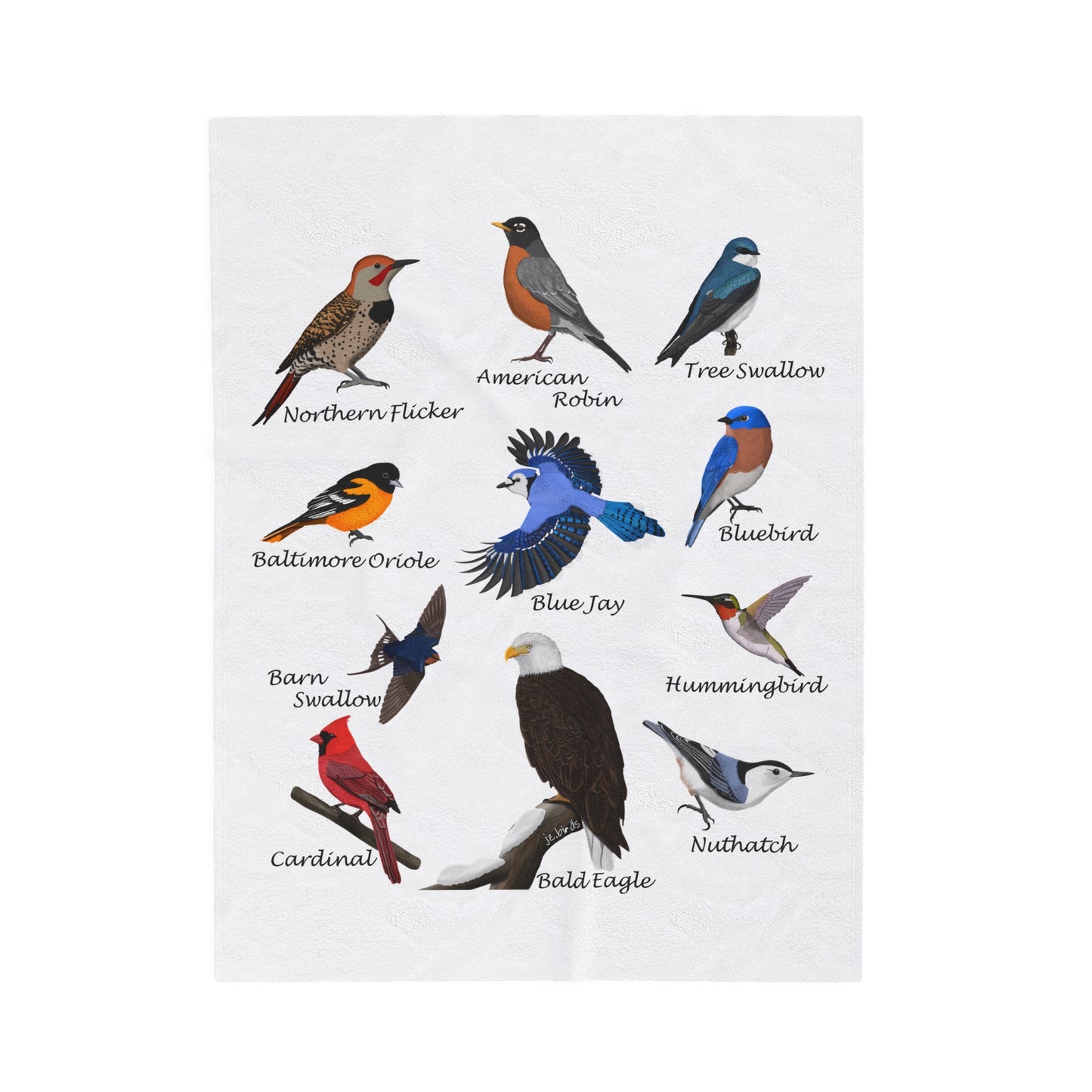 Hummingbird, Bluebird, Blue Jay, Cardinal and Robin Sofa Blankets – All Over Print, AOP