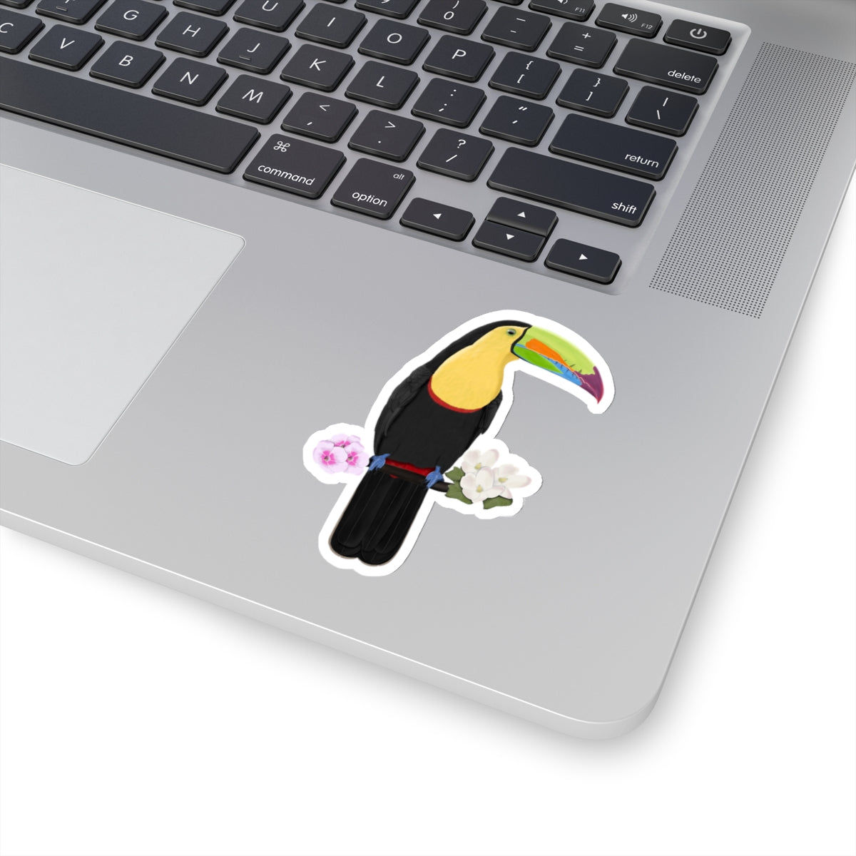 Keel-Billed Toucan Bird Sticker