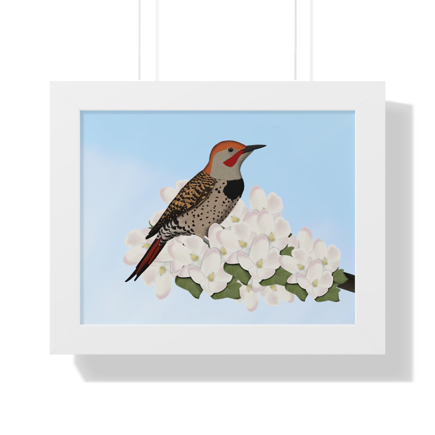 Northern Flicker Spring Blossoms Bird Framed Poster