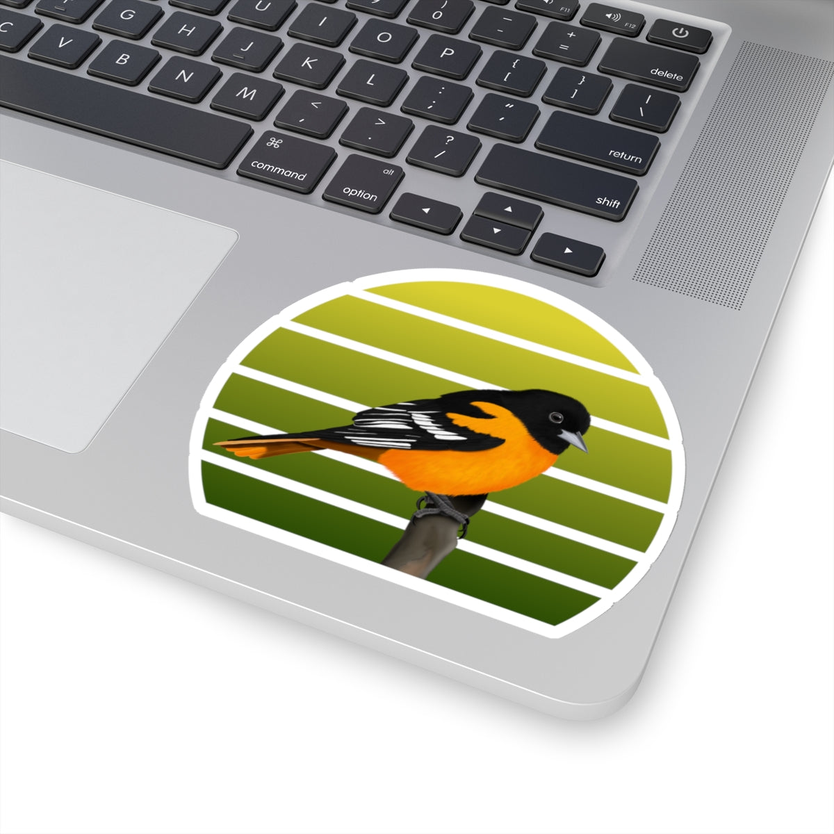 Baltimore Oriole Bird Sticker – Home & Living, Paper products