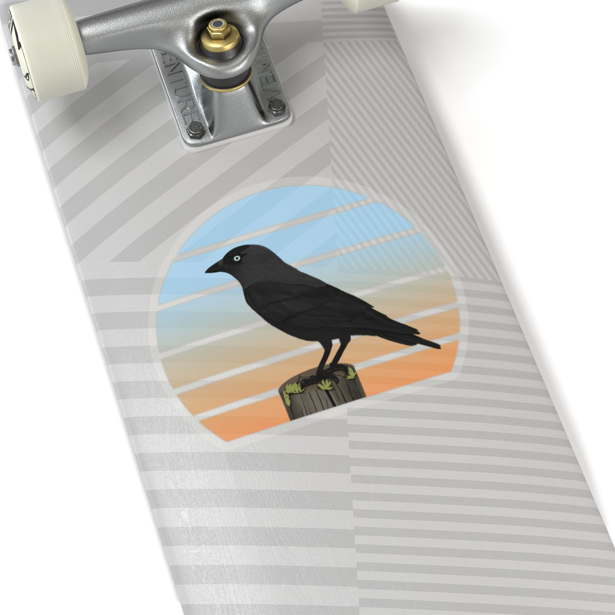 Jackdaw Bird Sticker