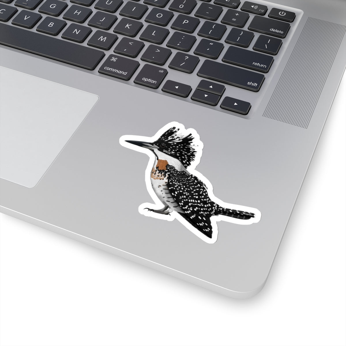 Crested Kingfisher Bird Kiss-Cut Sticker - jz.birds
