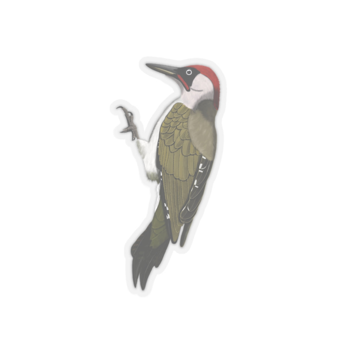 Green Woodpecker Bird Kiss-Cut Sticker - jz.birds