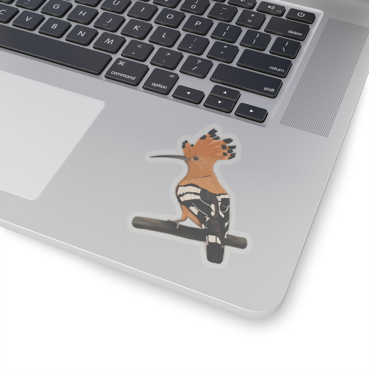 Hoopoe Bird Kiss-Cut Sticker - jz.birds