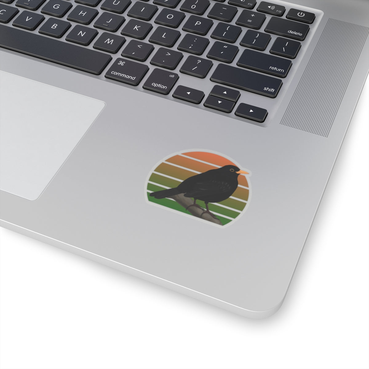 Blackbird Bird Sticker