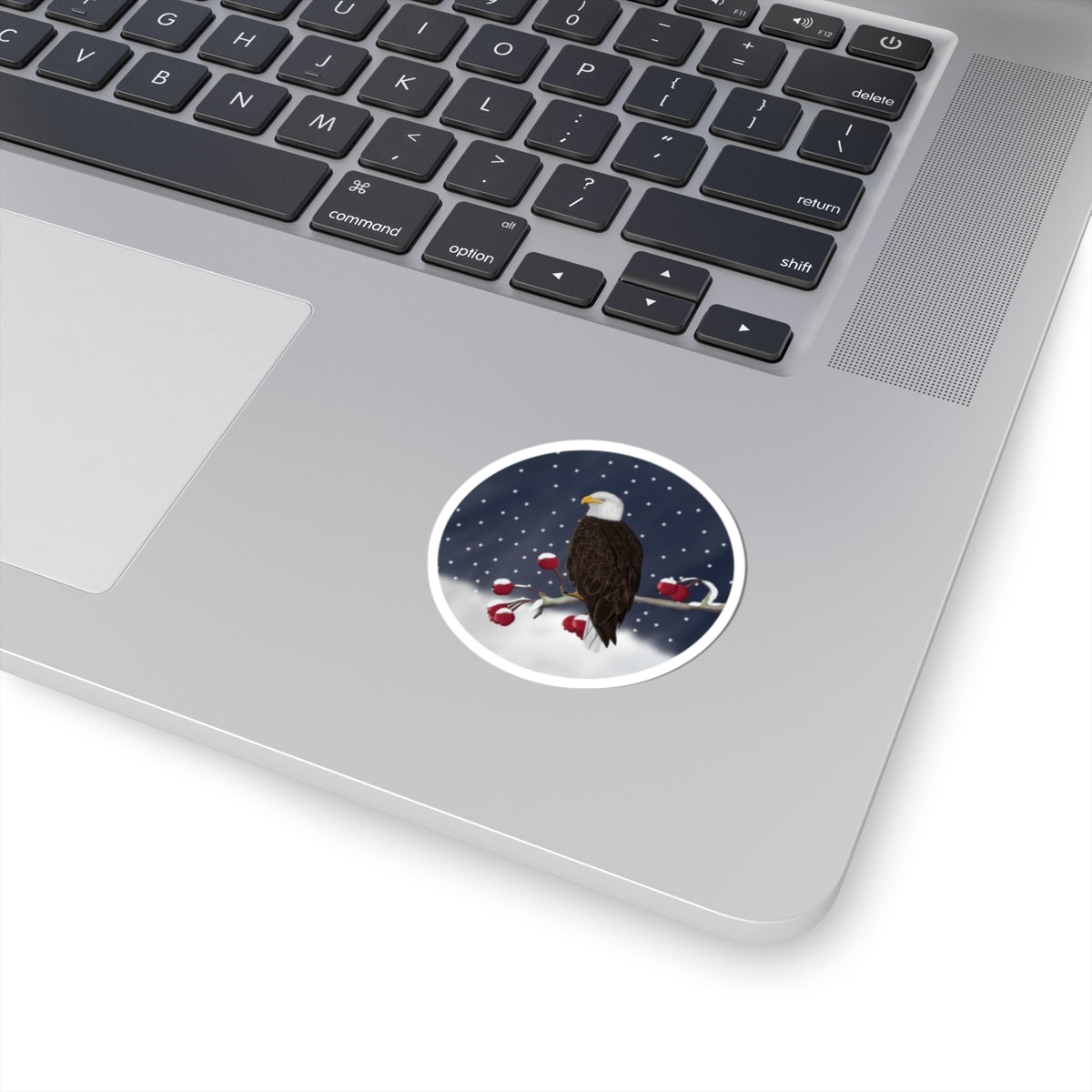 Bald Eagle on a Winter Branch Christmas Bird Sticker