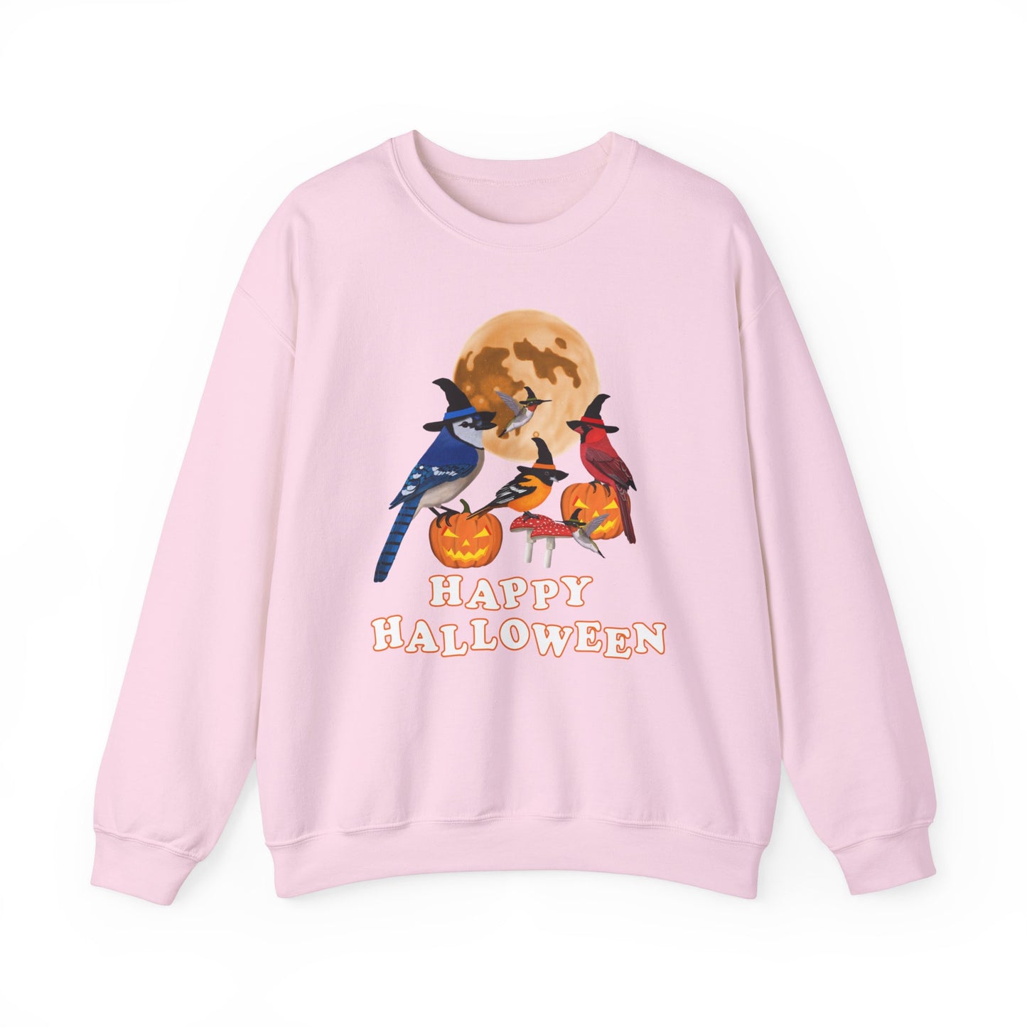 Blue Jay Cardinal Oriole Hummingbird Halloween Birds Witch Birdwatcher Sweatshirt