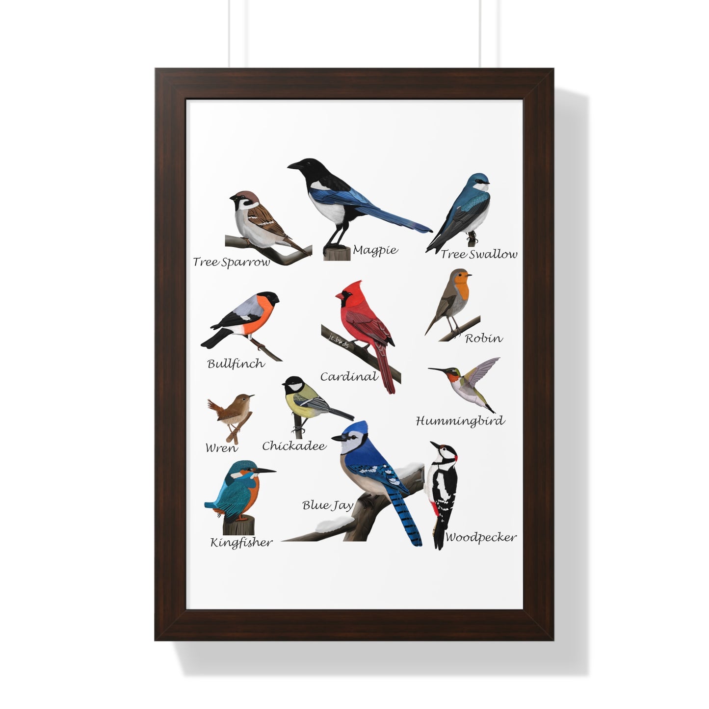 Garden Birds Blue Jay Cardinal Bullfinch Chickadee Framed Poster