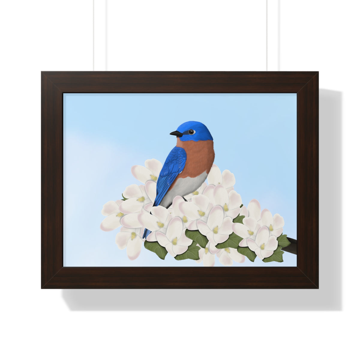 Eastern Bluebird Framed Poster – Home & Living