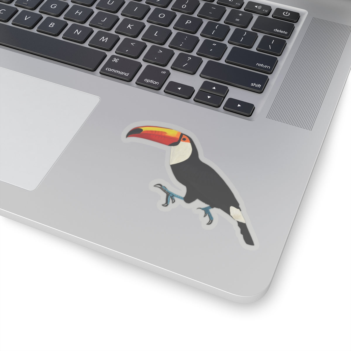 Toucan Bird Kiss-Cut Sticker - jz.birds