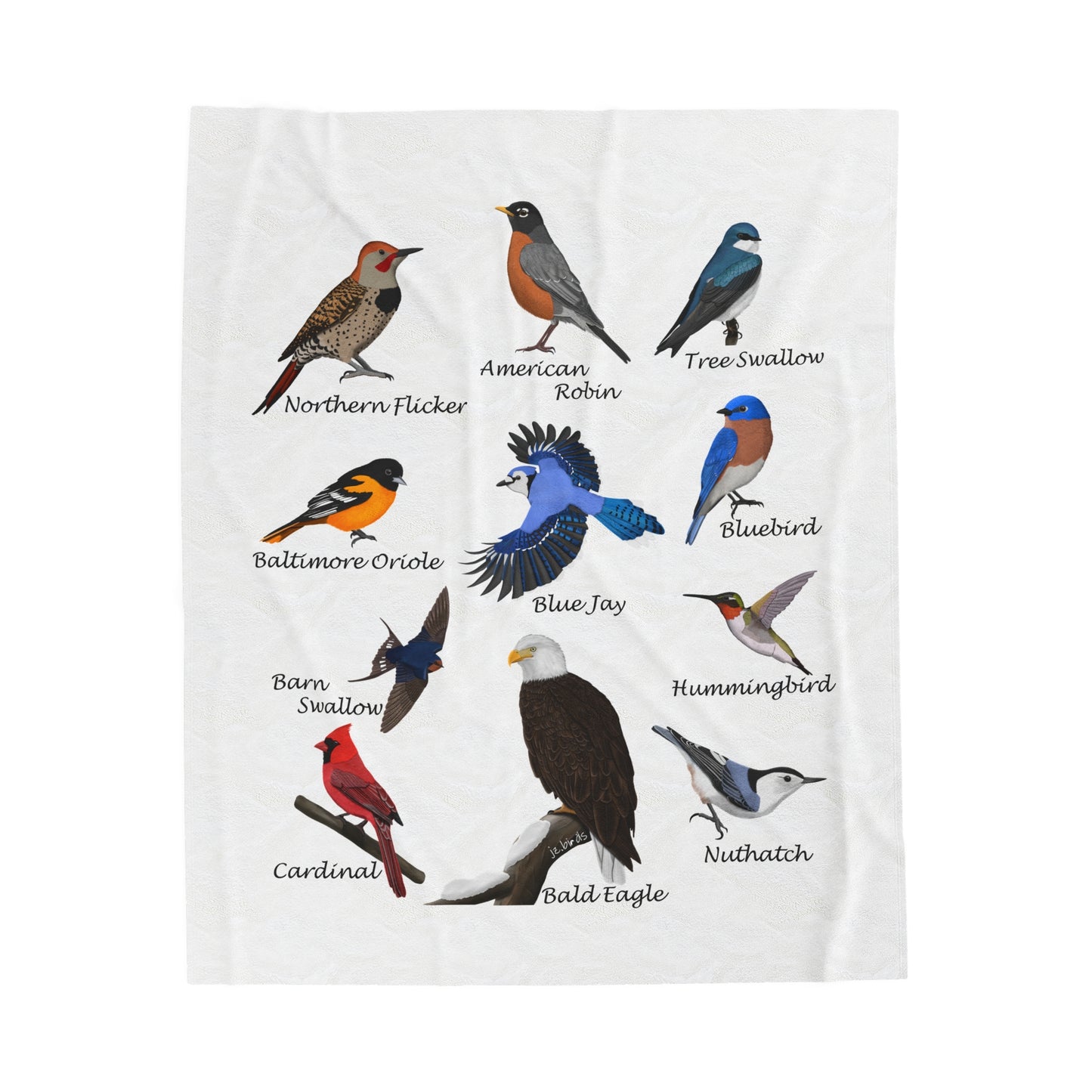 Hummingbird, Bluebird, Blue Jay, Cardinal and Robin Sofa Blankets – Backyard Birds Velveteen Plush Blanket