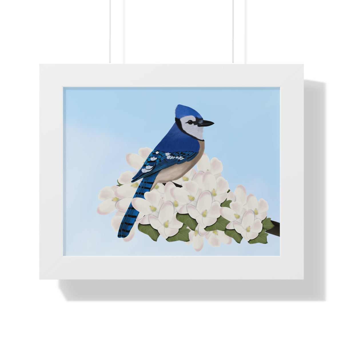 Blue Jay Spring Blossoms Bird Framed Poster