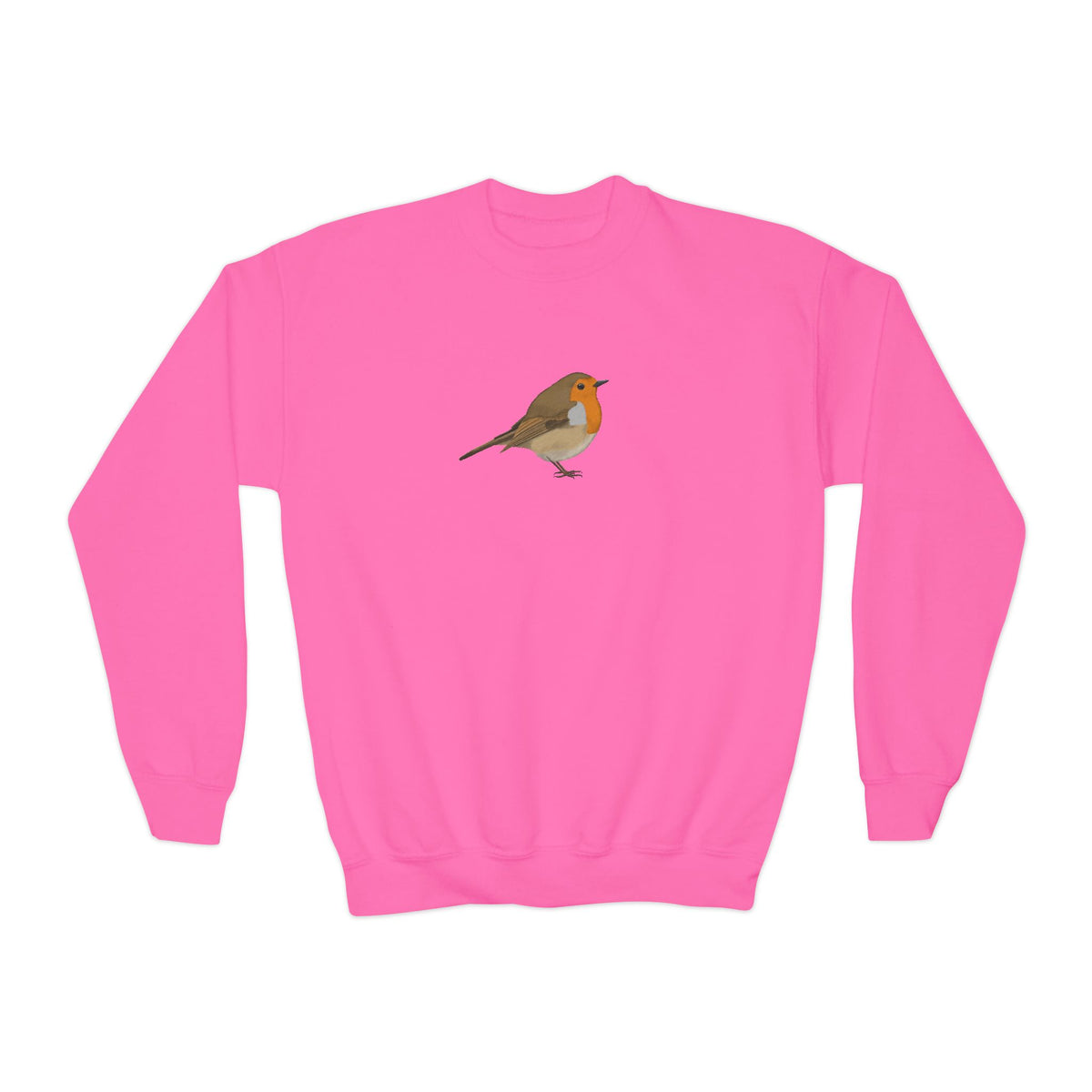 Robin Youth Sweatshirts – Casual Kids Clothing and Cool Weather Outfit style