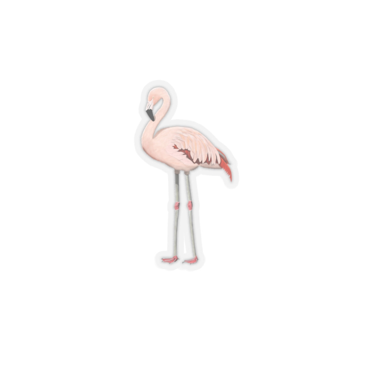Flamingo Bird Kiss-Cut Sticker - jz.birds