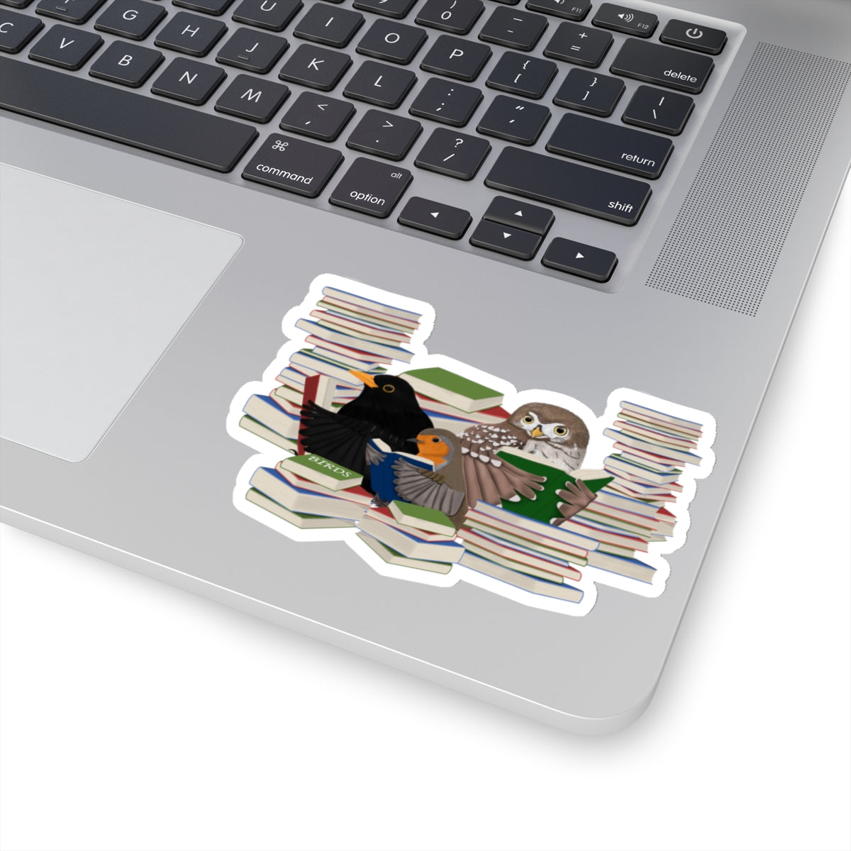 Robin Blackbird Owl Birds and Books Birdlover Bookworm Sticker