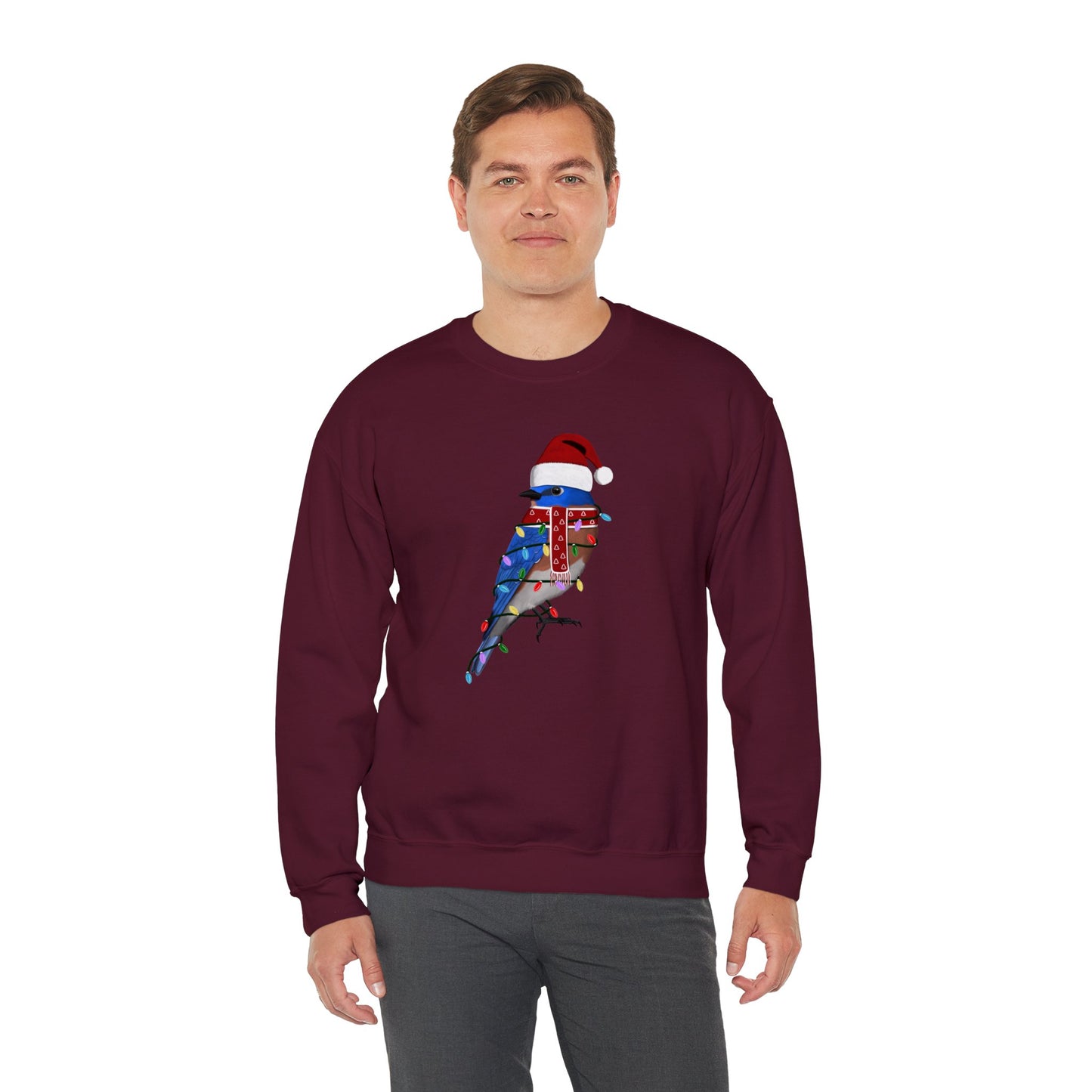Bluebird with Fairy Lights Santa Claus Christmas Bird Sweatshirt