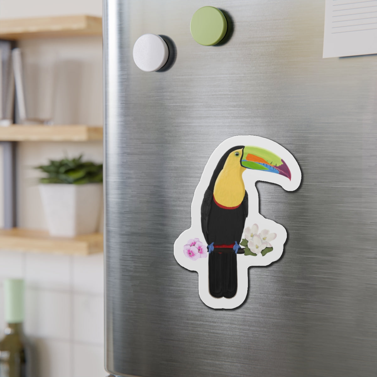 Keel-Billed Toucan Bird Magnet