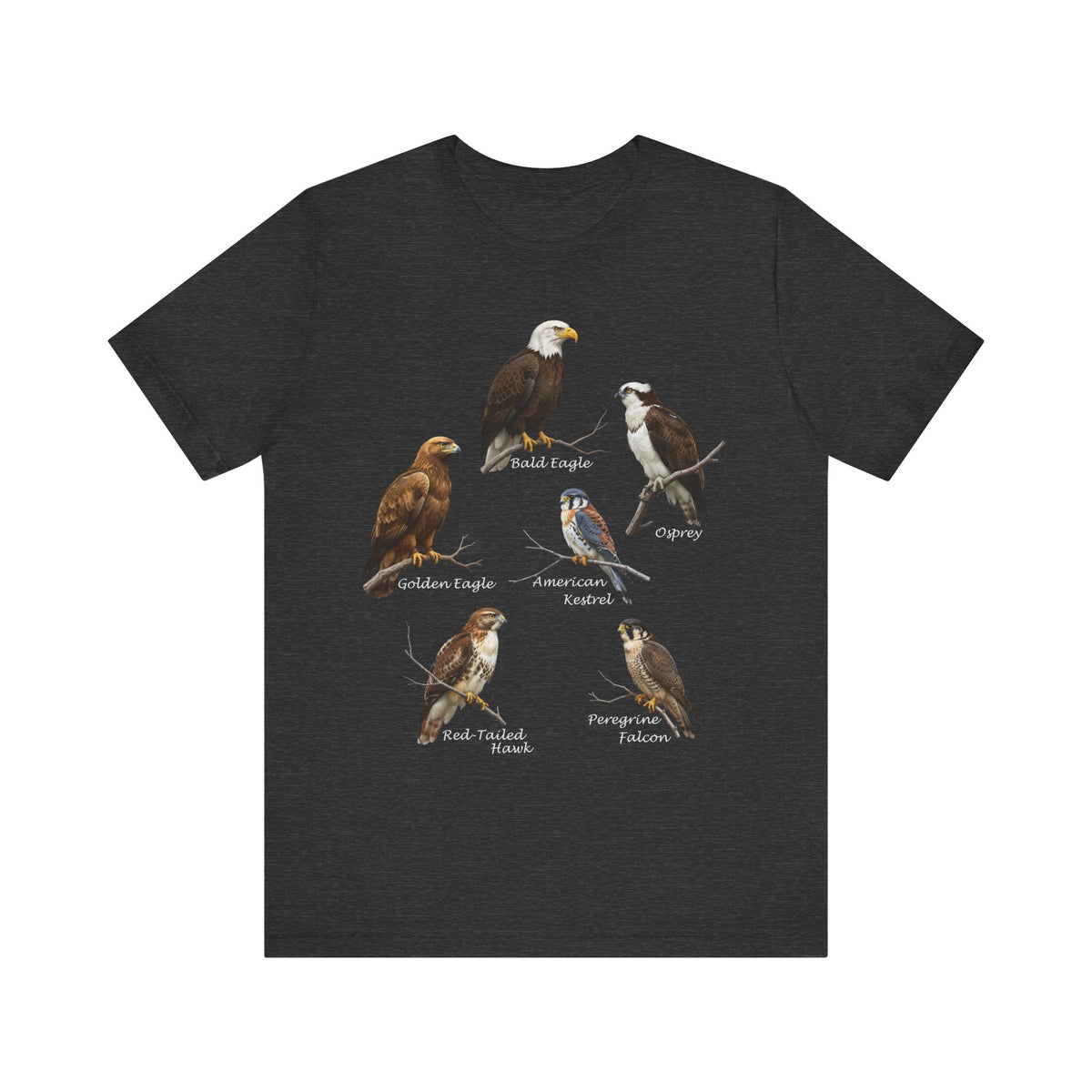 Falcon, Osprey, Eagle and Hawk T-Shirt in Black