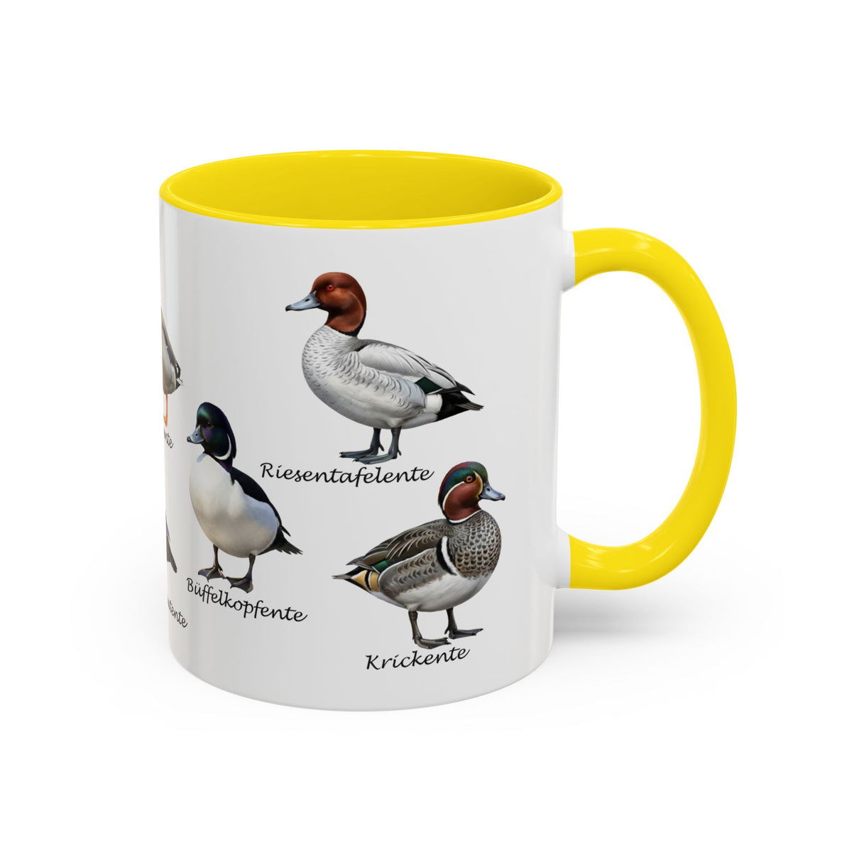 Tasse avec espèces de canards : canard souchet, canard mandarin & Cie | Anse colorée | Ornithologie
