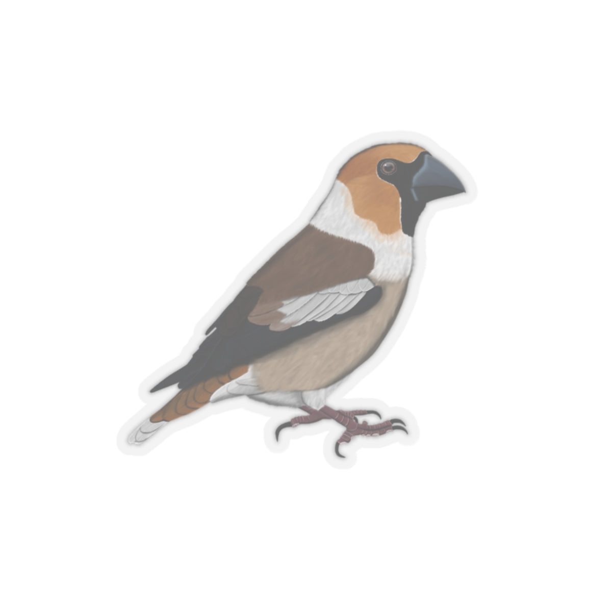 Hawfinch Bird Kiss-Cut Sticker - jz.birds