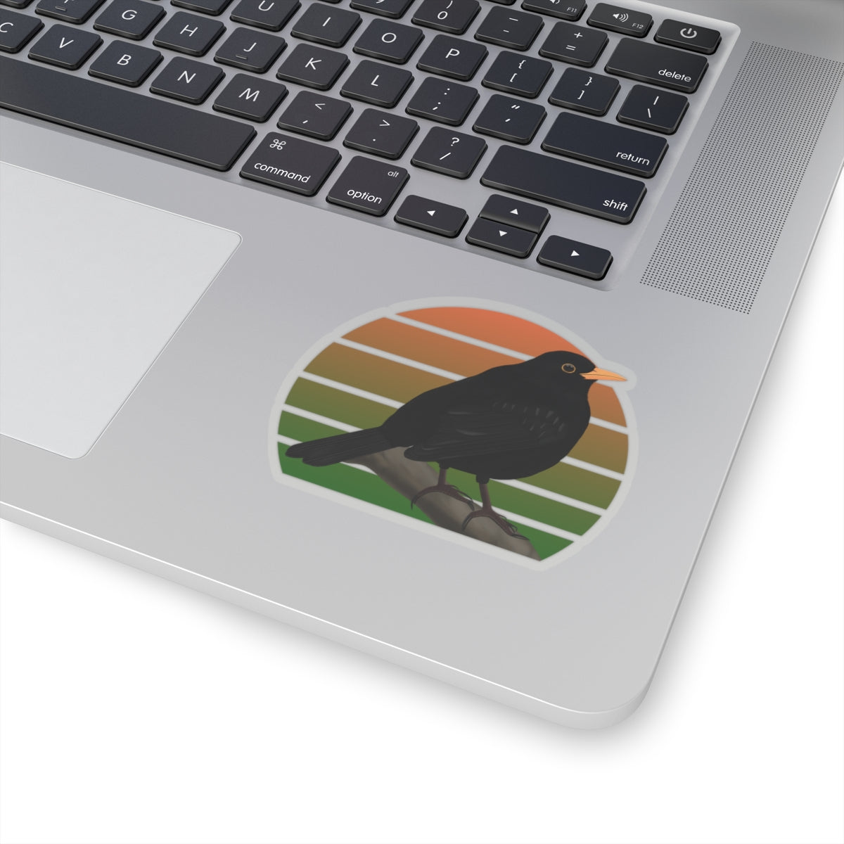 Blackbird Bird Sticker