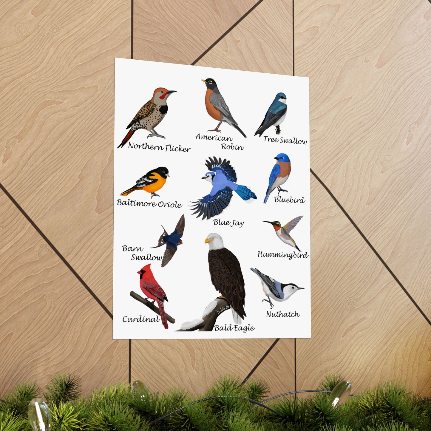 American Birds Poster Robin Blue Jay Cardinal Hummingbird Bird Watcher & Bird Lover