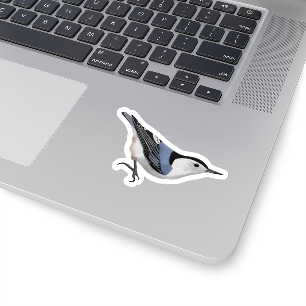 Nuthatch Bird Kiss-Cut Sticker - jz.birds