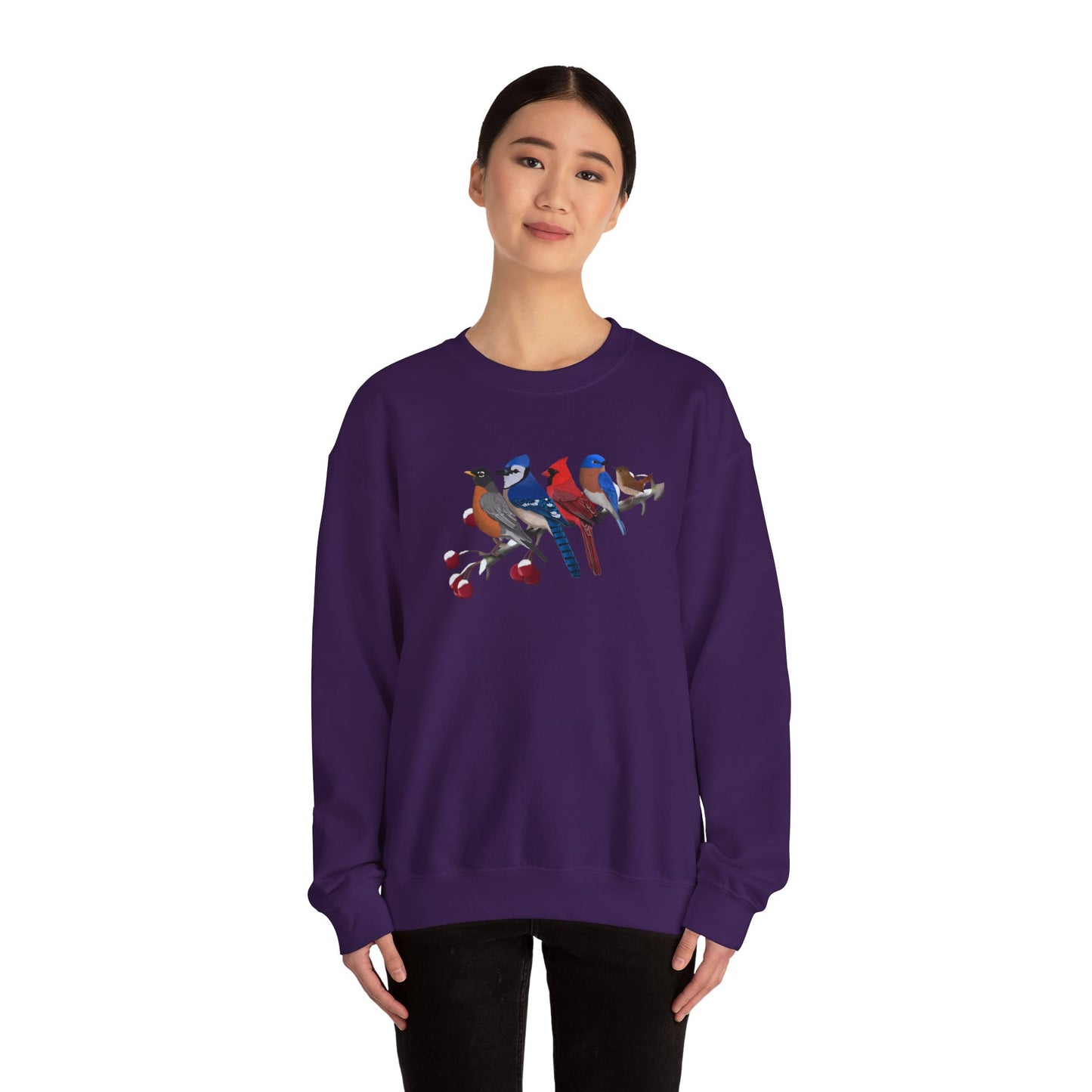 Backyard Birds Robin Blue Jay Cardinal Bluebird Wren Birdwatcher Christmas Bird Sweatshirt
