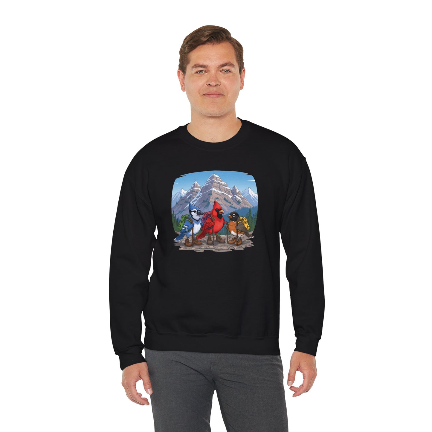 Birds Hiking Sweatshirt Funny Cardinal Robin Blue Jay on a Hike Bird Watchers & Bird Lovers