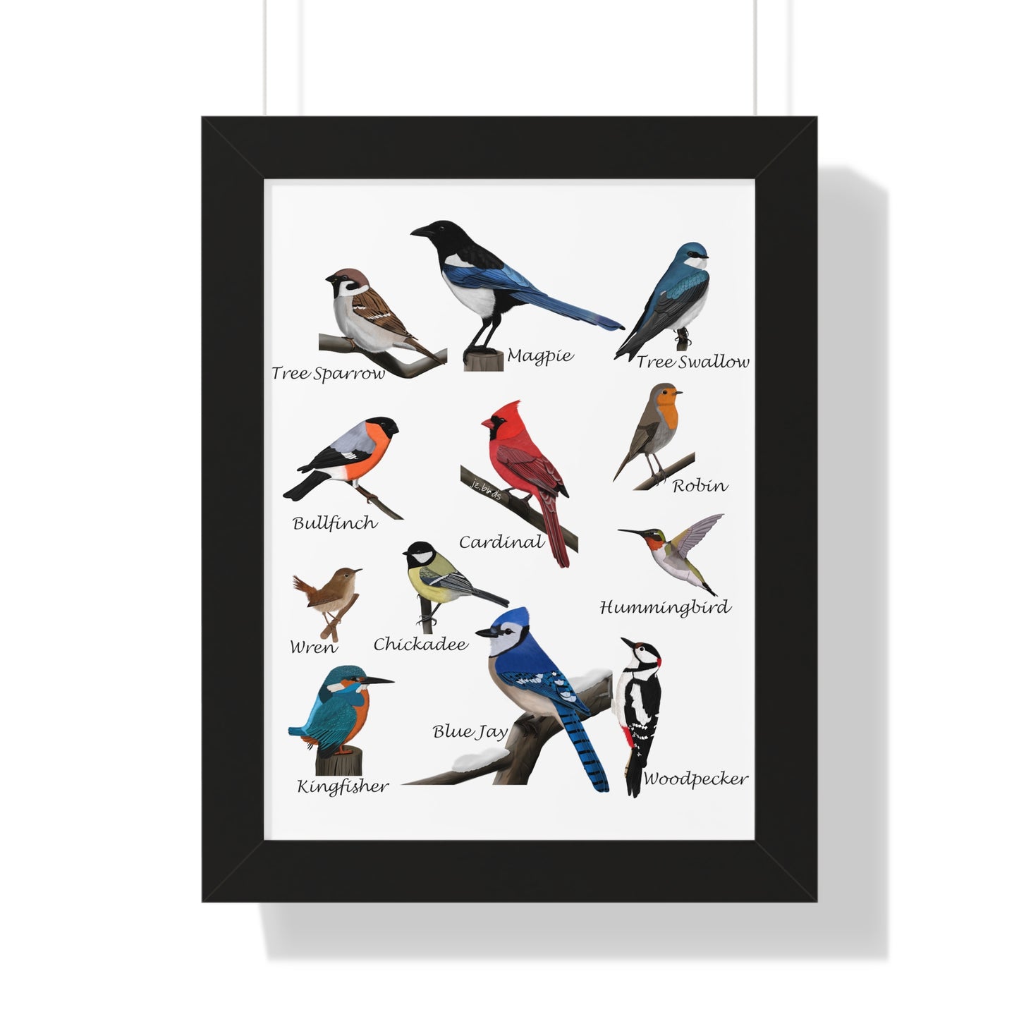 Garden Birds Blue Jay Cardinal Bullfinch Chickadee Framed Poster