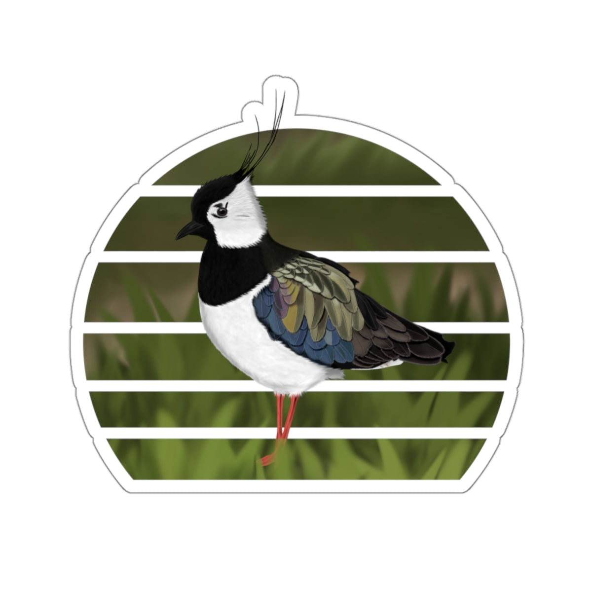 Lapwing Bird Sticker