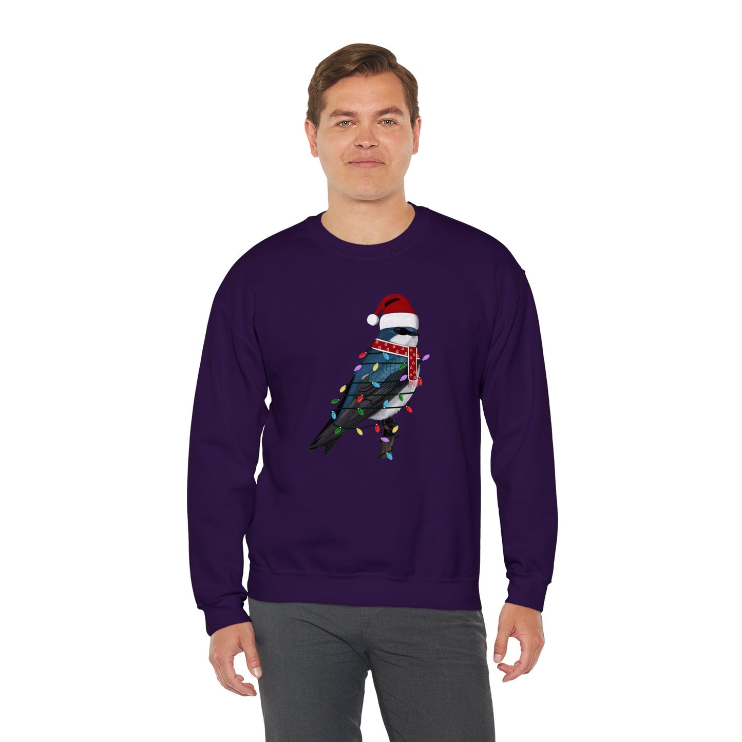 Tree Swallow with Fairy Lights Santa Claus Christmas Bird Sweatshirt