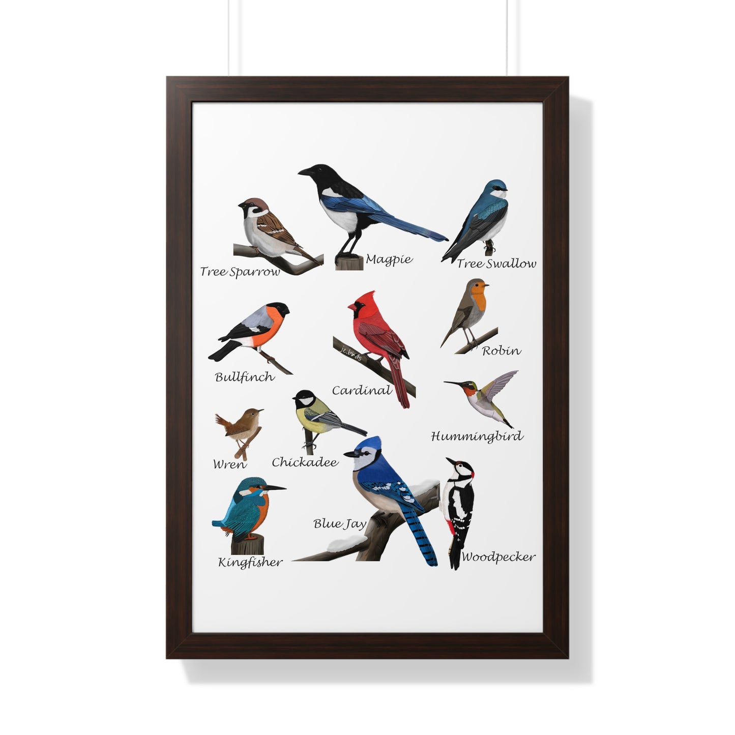 Garden Birds Blue Jay Cardinal Bullfinch Chickadee Framed Poster