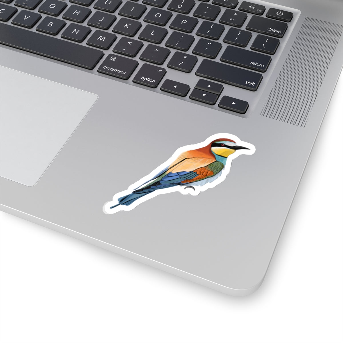 Bee-Eater Bird Kiss-Cut Sticker - jz.birds
