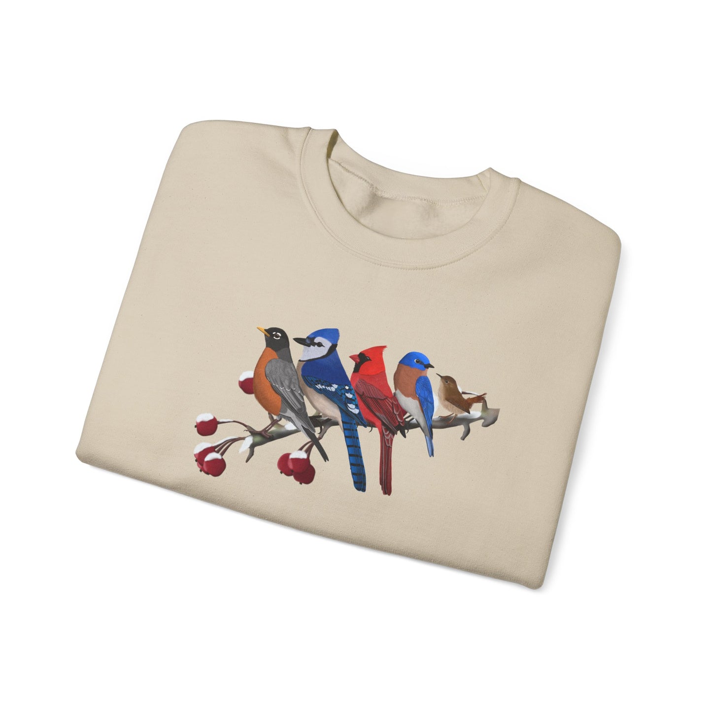 Backyard Birds Robin Blue Jay Cardinal Bluebird Wren Birdwatcher Christmas Bird Sweatshirt