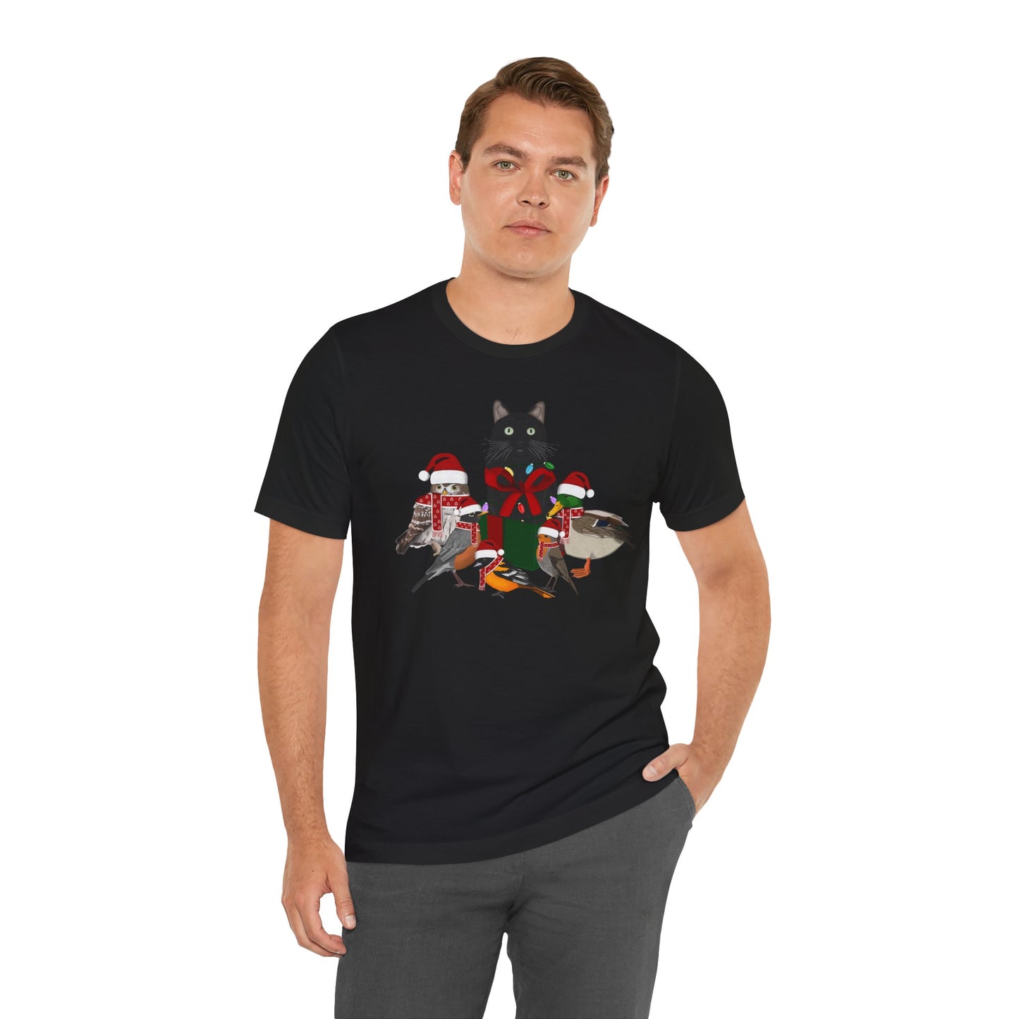 Robin Mallard Oriole Owl with Cat in a Box and Fairy Lights Christmas Bird T-Shirt