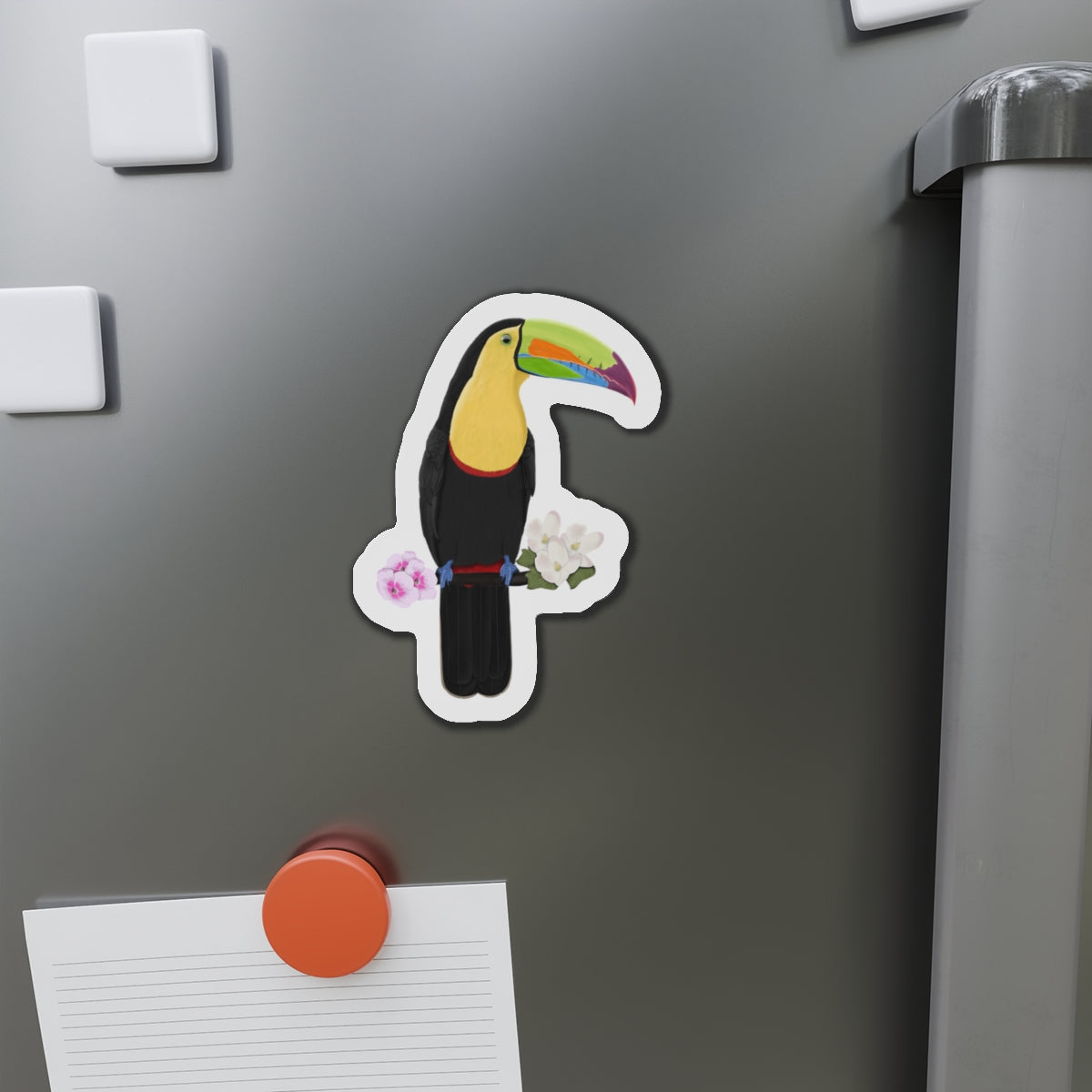 Keel-Billed Toucan Bird Magnet
