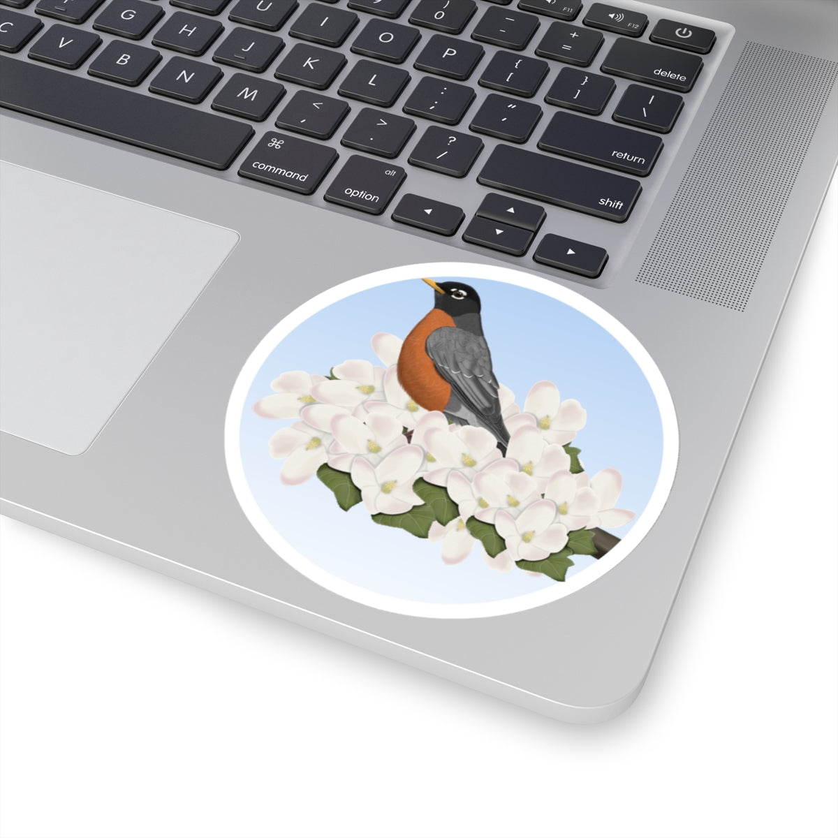 American Robin Spring Apple Blossoms Bird Kiss-Cut Sticker – Home & Living, Paper products