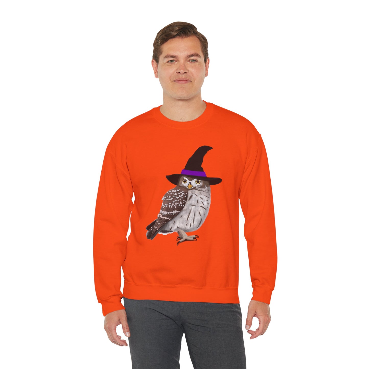 Owl Halloween Witch Birdwatcher Biologist Bird Sweatshirt
