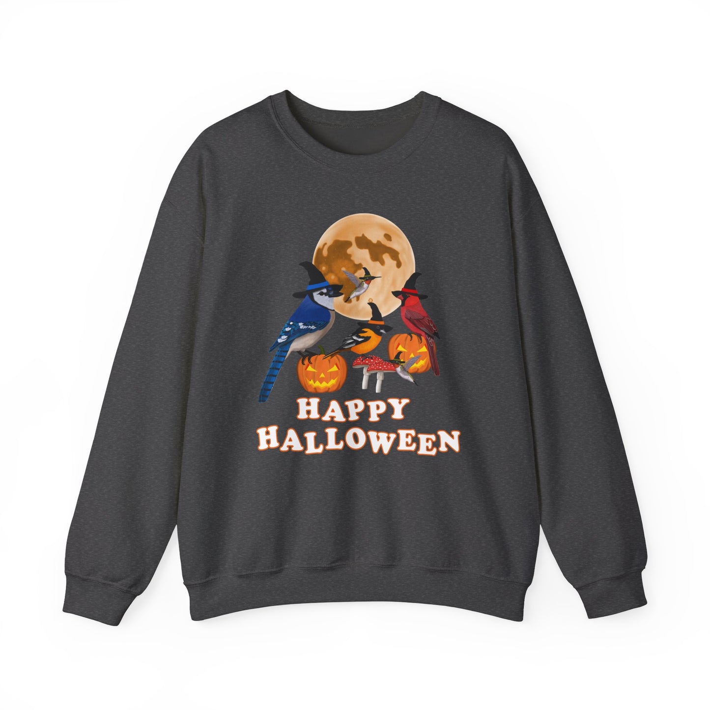 Blue Jay Cardinal Oriole Hummingbird Halloween Birds Witch Birdwatcher Sweatshirt