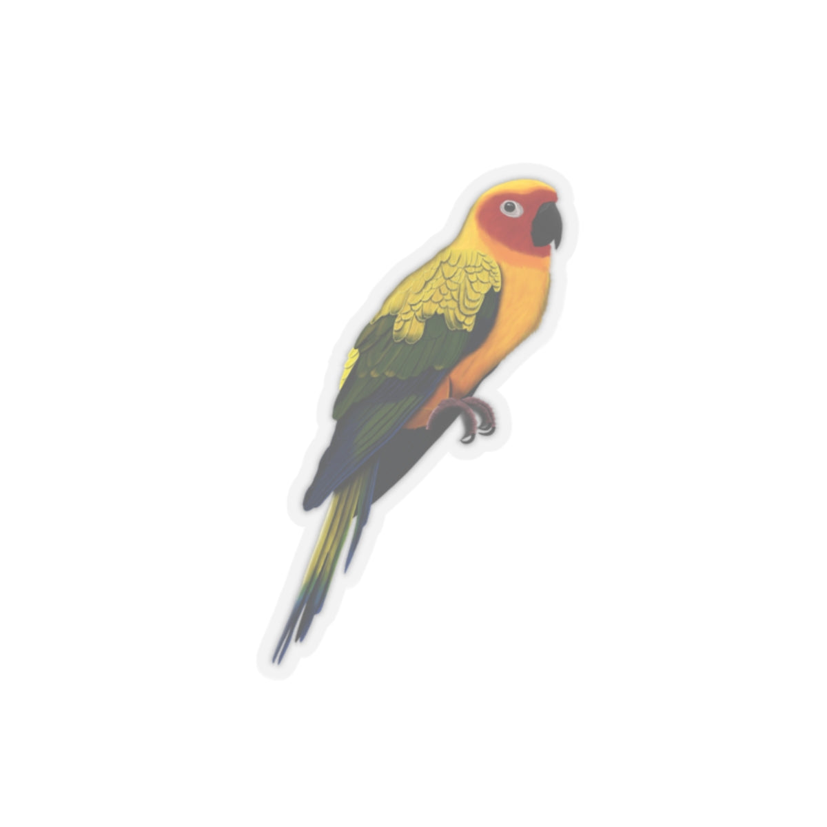 Sun Conure Bird Kiss-Cut Sticker - jz.birds