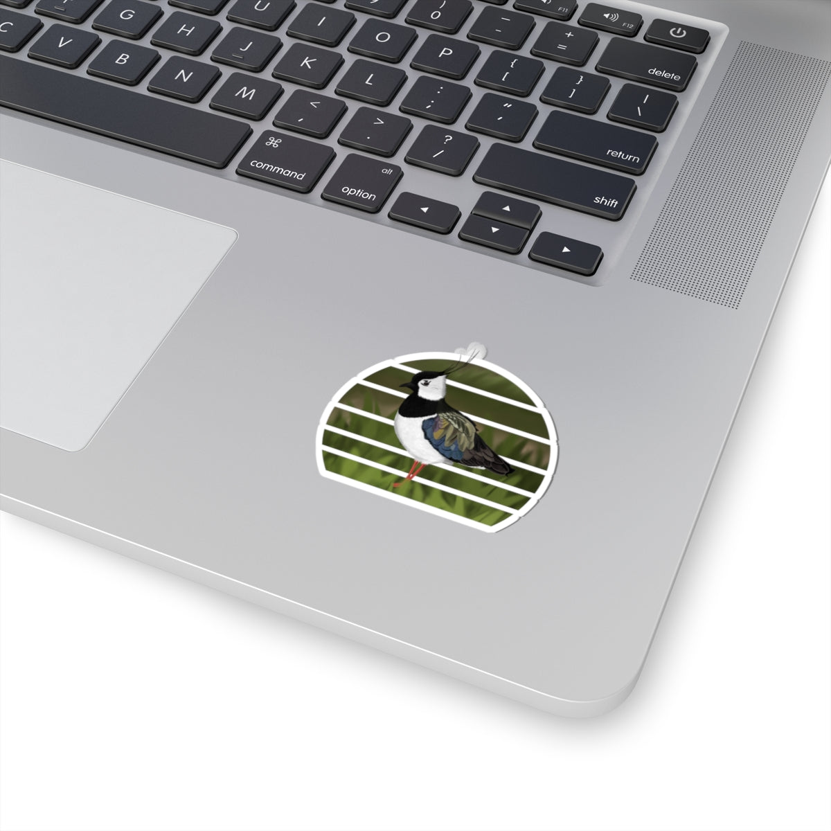 Lapwing Bird Sticker