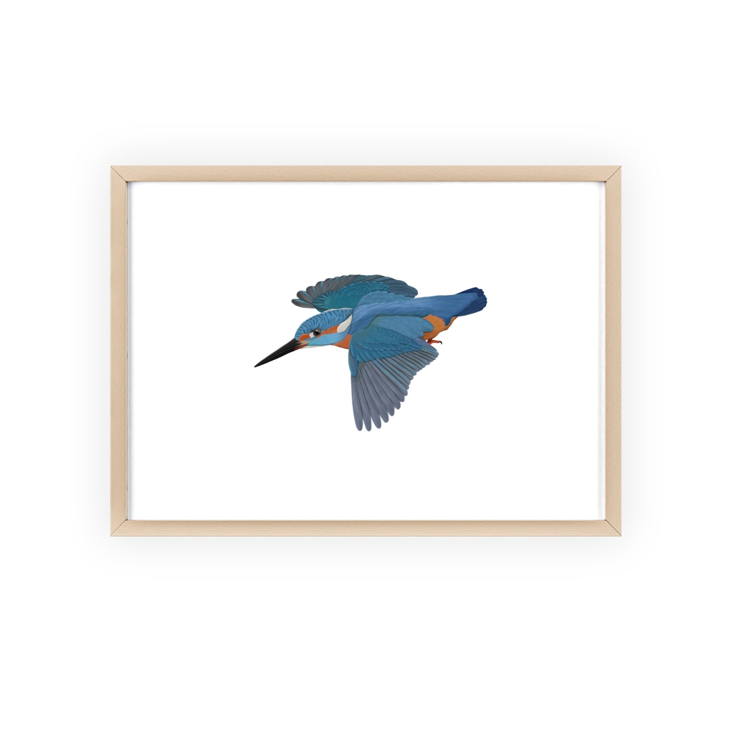 Vogel Poster im Holzrahmen - Eisvogel Poster Singvogel Weiß