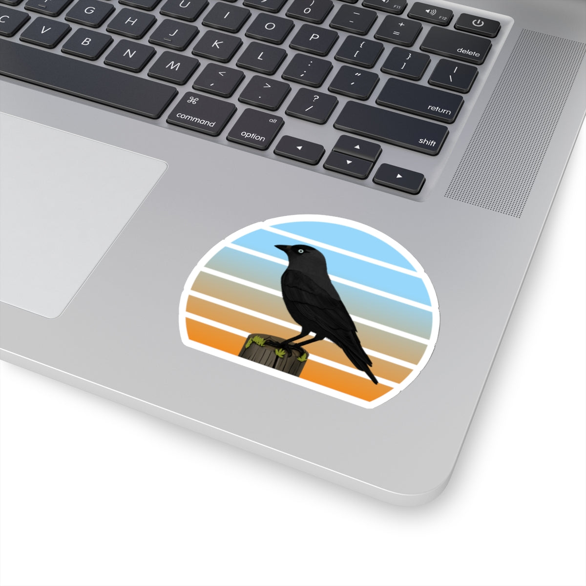 Jackdaw Bird Sticker