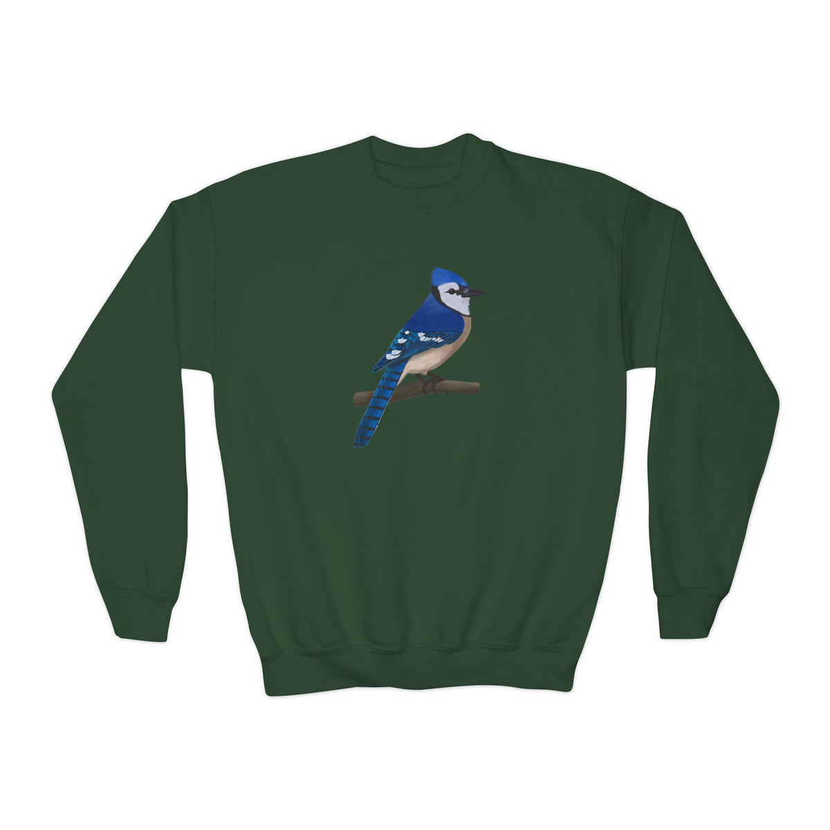 Blue Jay Bird Birdwatching Youth Crewneck Sweatshirt – Casual Kids Clothing, Sweatshirts