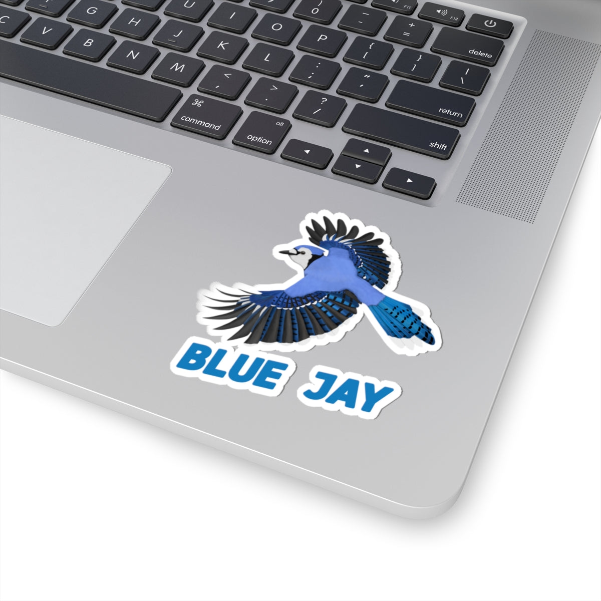 Blue Jay Sticker Bird Lover & Bird Watcher