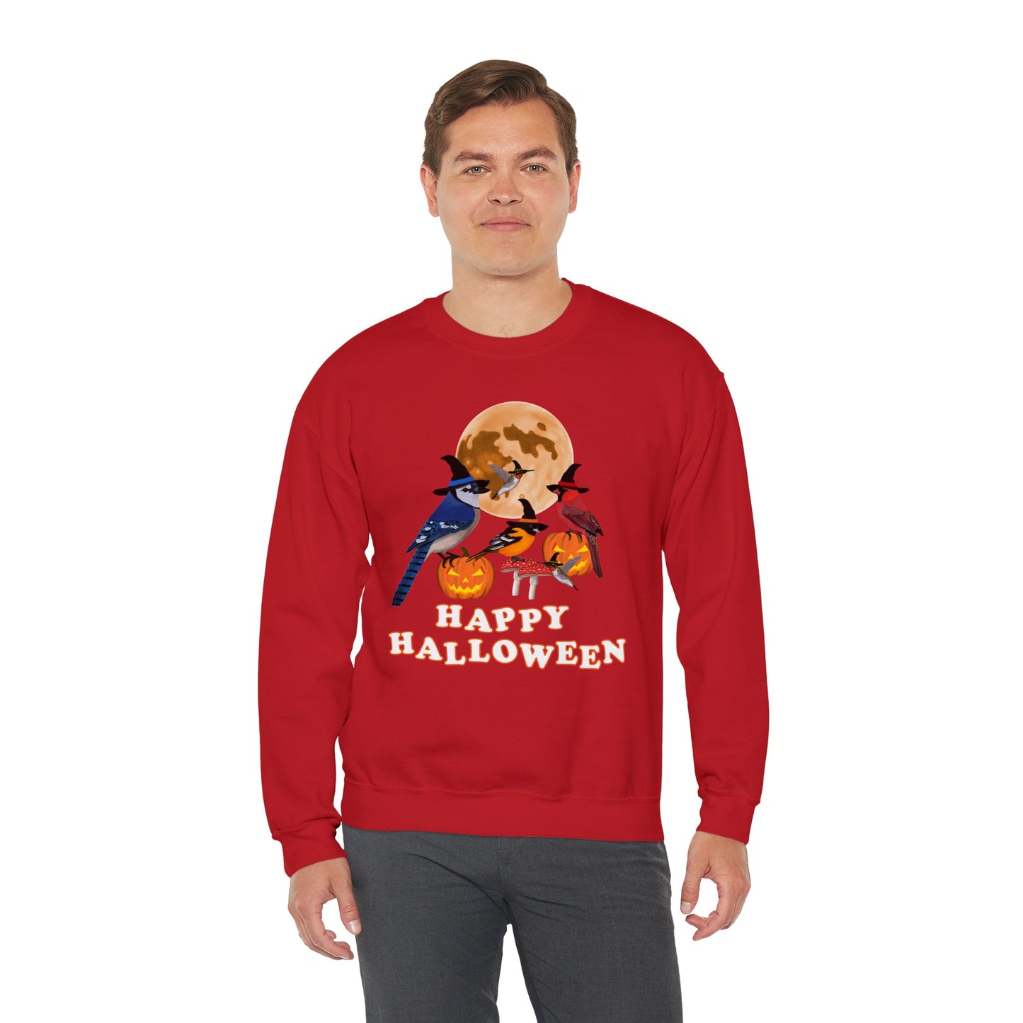 Blue Jay Cardinal Oriole Hummingbird Halloween Birds Witch Birdwatcher Sweatshirt