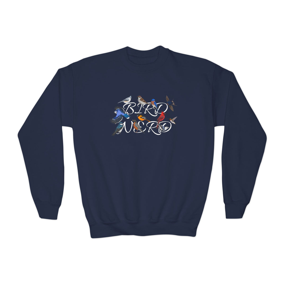 Barn Swallow, Blue Jay, Nuthatch, Oriole and Robin Youth Sweatshirts in Maroon
