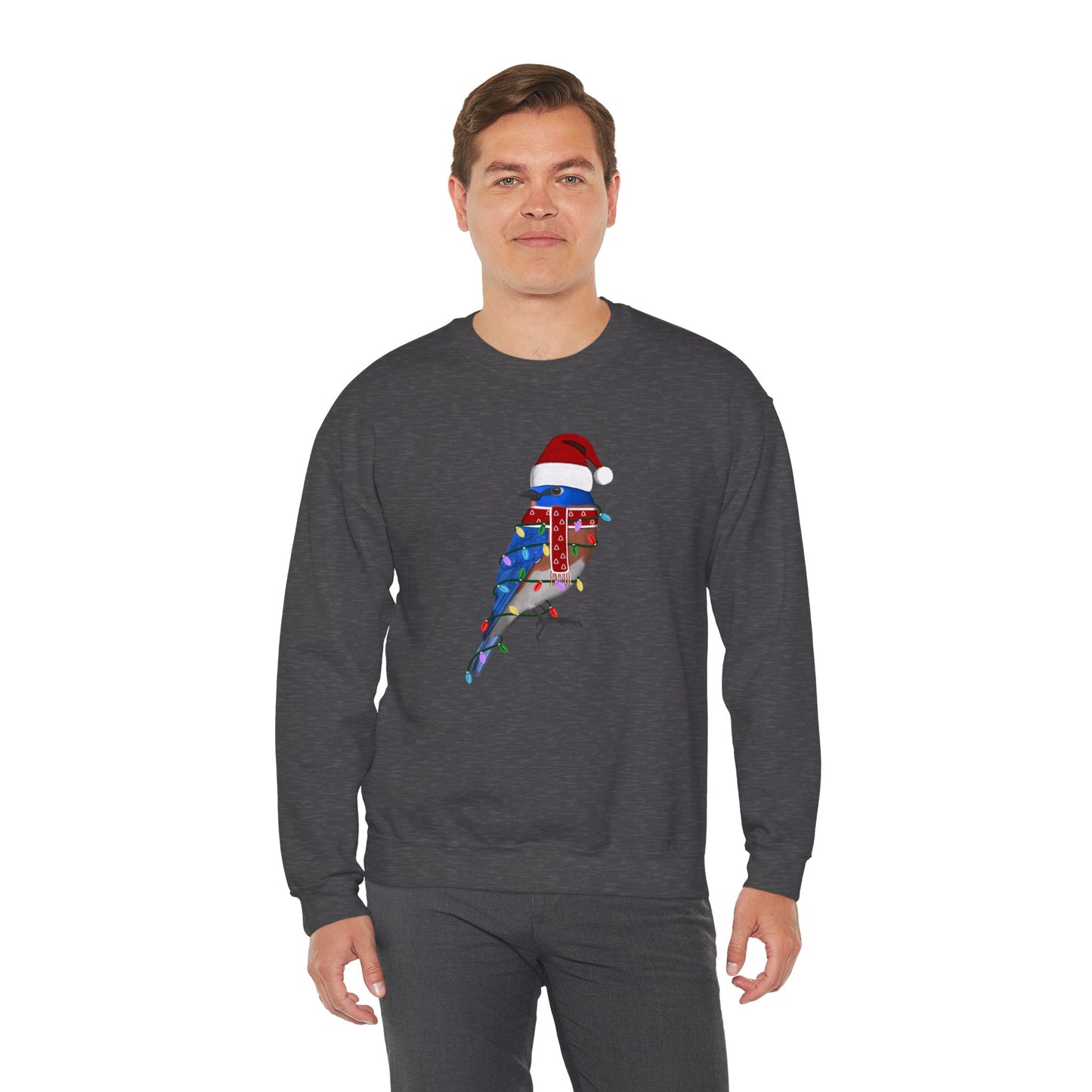 Bluebird with Fairy Lights Santa Claus Christmas Bird Sweatshirt